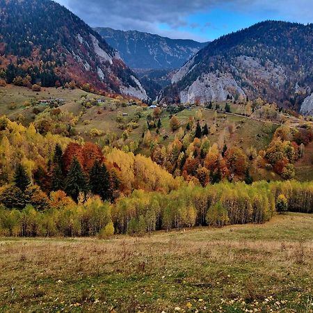 Mosorel Măgura Extérieur photo