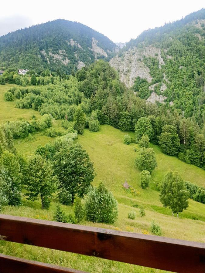 Mosorel Măgura Extérieur photo