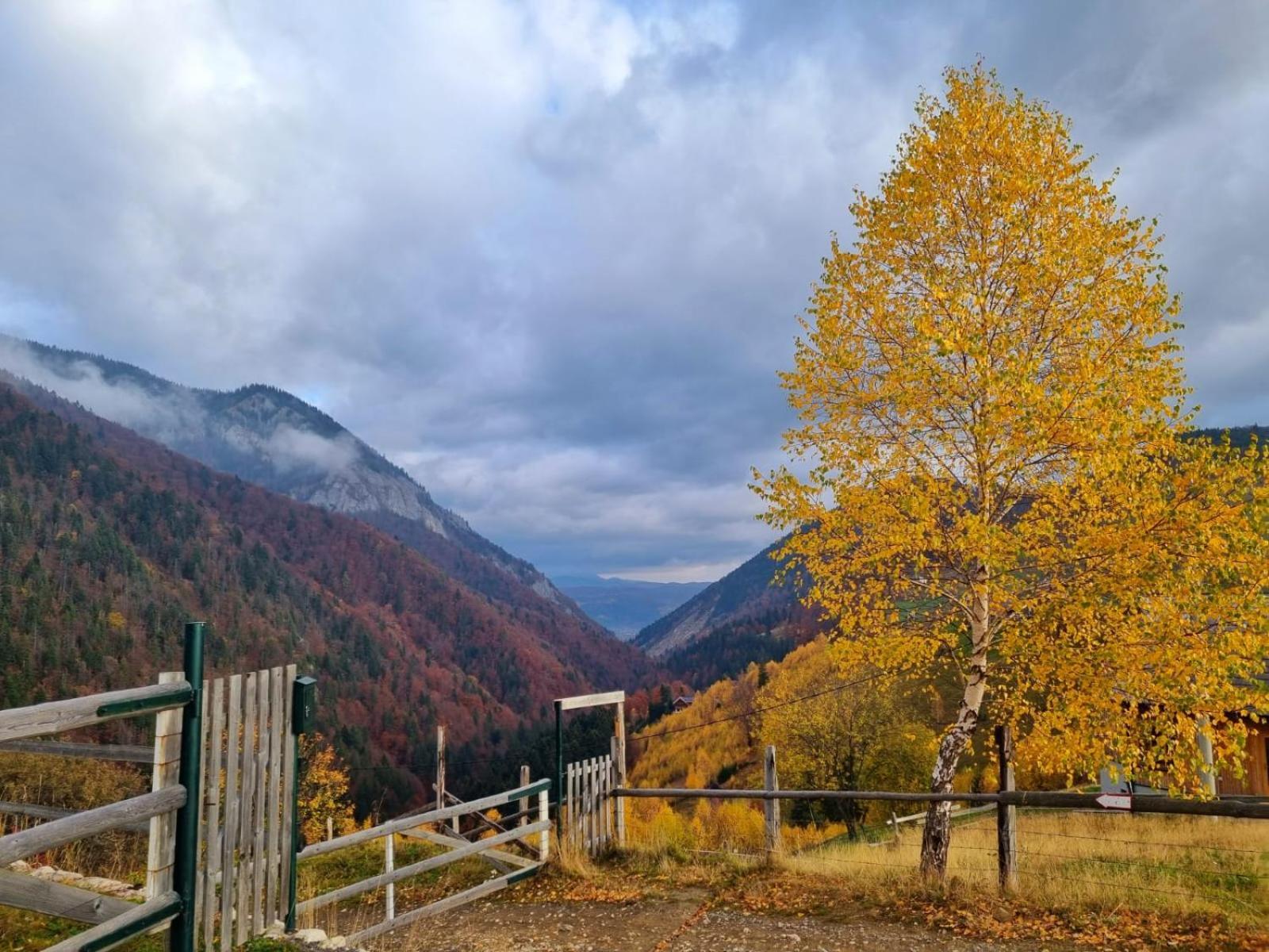 Mosorel Măgura Extérieur photo