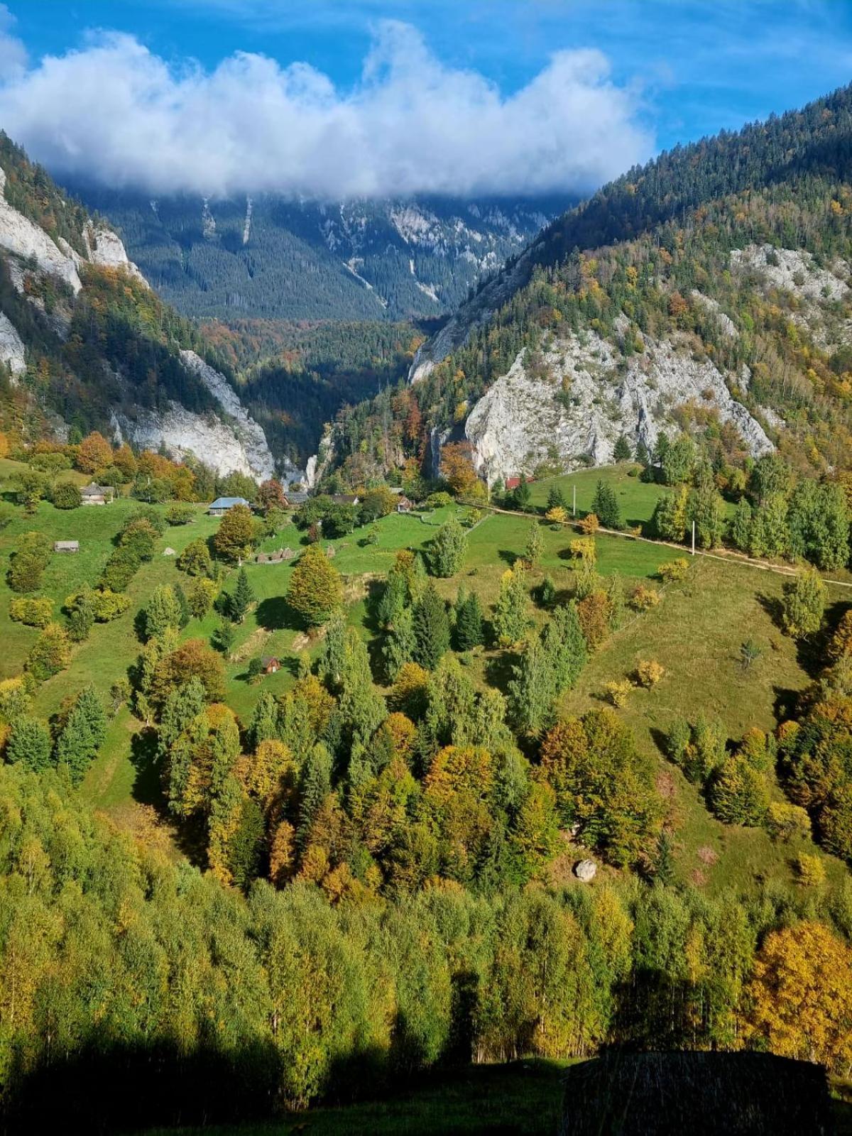 Mosorel Măgura Extérieur photo