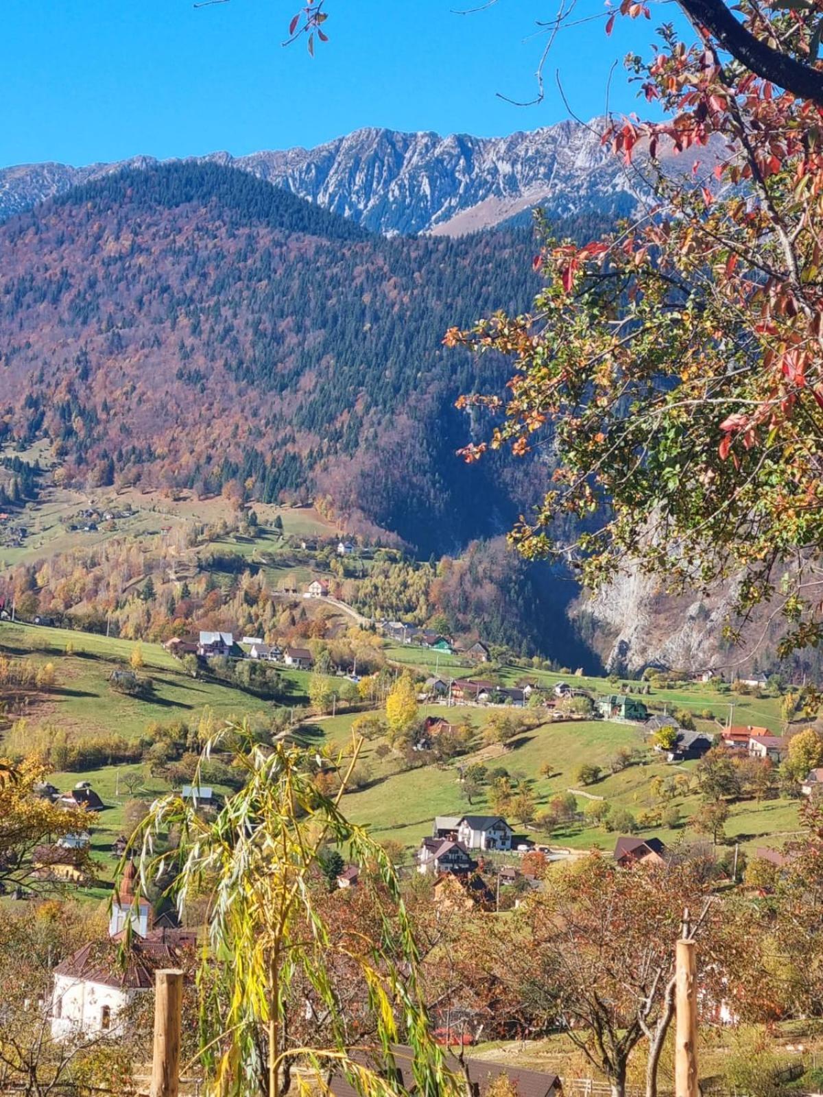 Mosorel Măgura Extérieur photo