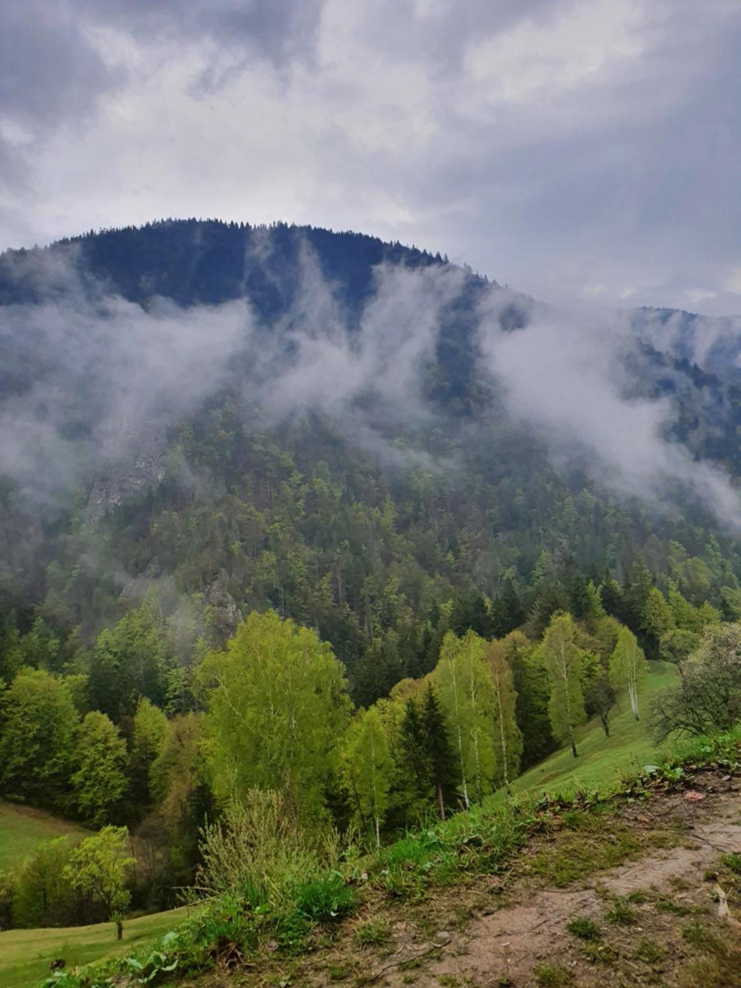 Mosorel Măgura Extérieur photo